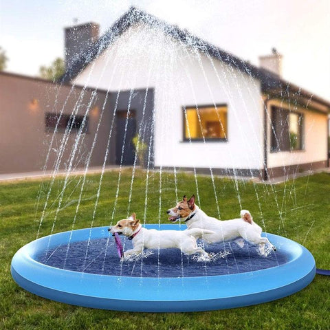 Pool / Inflatable with Sprinklers
