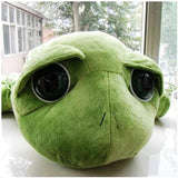 Green Big Eyes Turtle